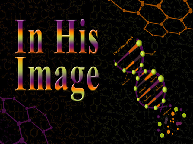 In His Image Basic Biology 4 Kids & Christians