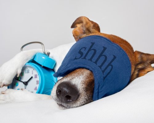 canstockphoto12290143